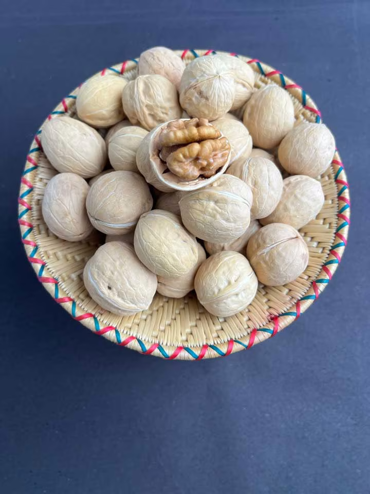 Image of Premium Himalayan Walnuts – Fresh Organic Akhrot from Nepal
